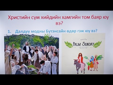 Видео: Далдуу модны трахикарпус: тайлбар, арчилгаа, тариалалт, онцлог