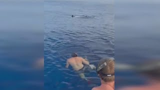 Shark spotted off La Jolla coast