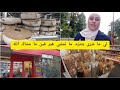 علاش مشيت Wibra Zeman Action سمحت في كلشي ومشيت عندها كبرت بيا الله يكثر خيرها علاش مشيت Wibra Zeman Action سمحت في كلشي ومشيت عندها كبرت بيا الله يكثر خيرها