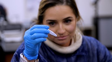 Fighting Superbugs: A Look into Tarleton