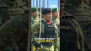 The Indonesian National Armed Forces (TNI) ly Changes to Light Green: More Modern or Losi...