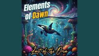 Plankton - Elements of Dawn