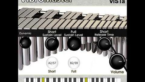 VibroMaster VST vibraphone by Alan ViSTa
