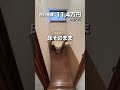 このリフォーム価格、安い？高い？