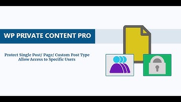 Protect Single Post Page with Specific User Access