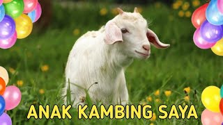 Lagu Anak Kambing Saya ▪ Lagu anak populer