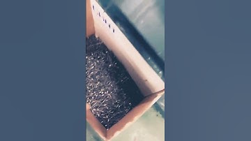 amazing skills mechanical engineer advance  machine full automatically ⚙️🛠️