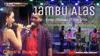 Jambu Alas Lala Widi Terbaru Juli 2018