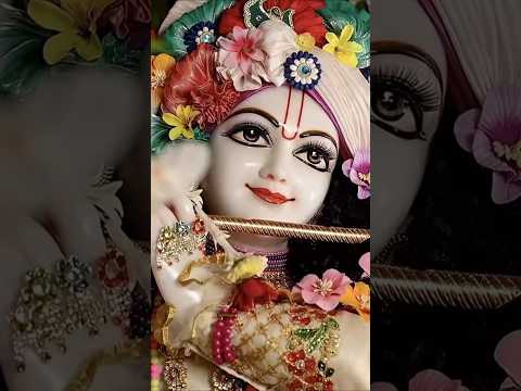 Hare Krishna 🙏 #krishna #krishnabhajan #krishnabhakti #radheradhe #radhekrishnaa #radha #shorts #yt