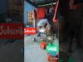#wait for twist #YouTube funny #short video #YouTube channel #Shyam bro# Mor funny new video#