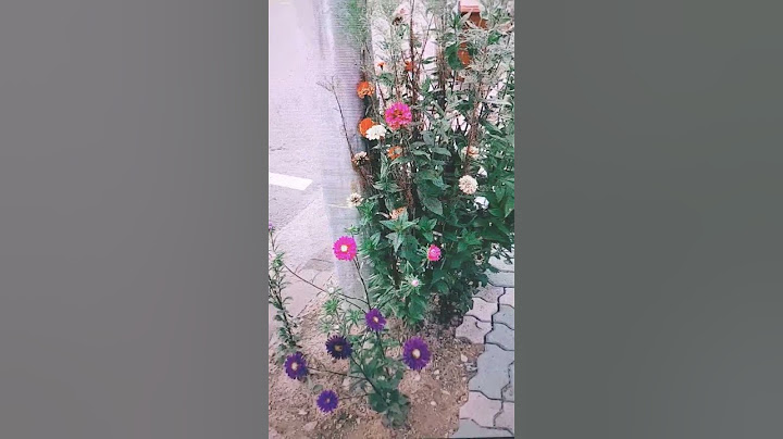 자세히 보아야 예쁘다   오래 보아야 사랑스럽다   너도 그렇다.   - 나태주 - 풀꽃
