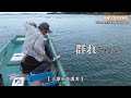 【かかり釣り】チヌの群れに遭遇しました。(汗)今回の動画は、ちょっと長めです。時間のある時に見て下さい。今日もオヤジは奮闘してます!(笑)宜しくです!