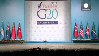 Cats invade G20 summit stage in feline security breach Cats invade G20 summit stage in feline security breach