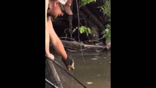 How To Remove a Fish from a Limb Line