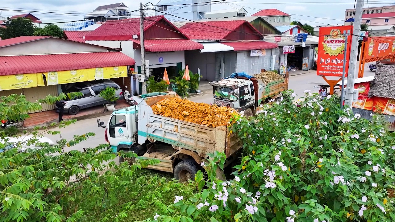 incredible landfill new project clear forestry build school , truck transport , bulldozer old push