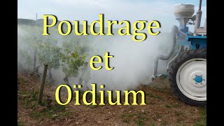 Poudrage VL hd720.avi