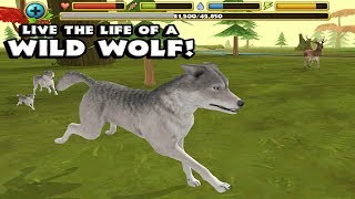 🐺👍Wildlife Simulator Wolf-Симулятор дикой природы Волк-By Gluten Free games-IOS/Android