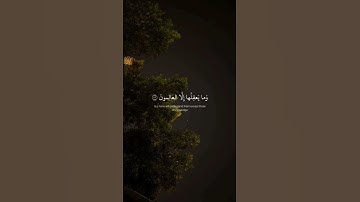 ﴿ وَتِلكَ الأَمثَالُ نَضرِبُهَا لِلنَّاس ﴾ سوره العنكبوت، عبدالرحمن مسعد #قرآن #ارح_قلبك #قران_كريم