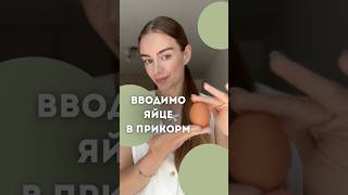 🥚Вводимо яйце в прикорм з 6 місяців 🤩🙌🏼