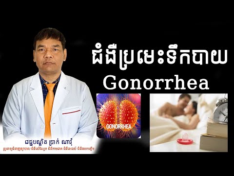 ជំងឺប្រមេះទឹកបាយ Gonorrhea By ​Dr. PRAK NAROM