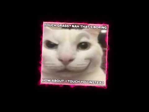 ‎Sylendanna   AH? AH? slowed :)
