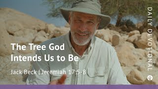 The Tree God Intends Us to Be | Jeremiah 17:5–8 | Our Daily Bread Video Devotional