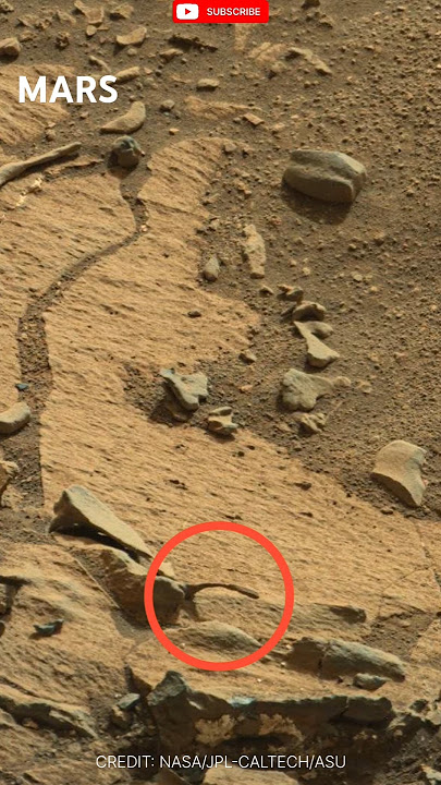 Mars view Curiosity @sciencedawn