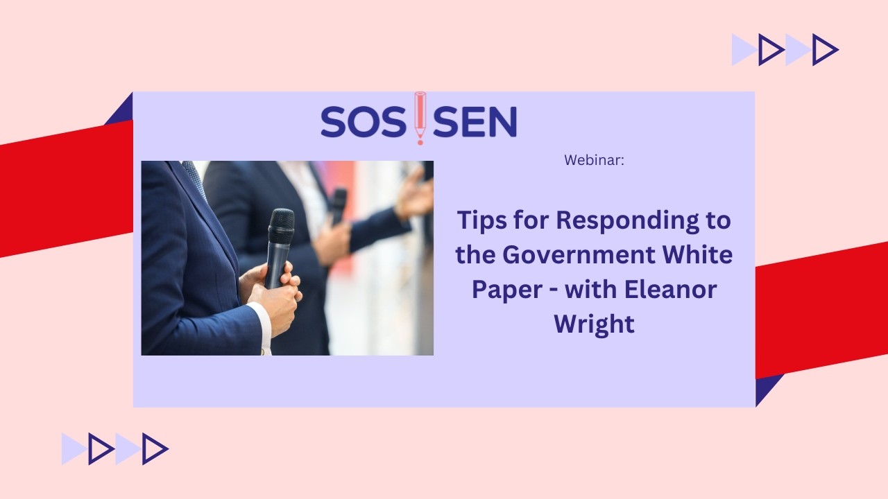 The SEND White Paper Consultation - tips for responding - YouTube