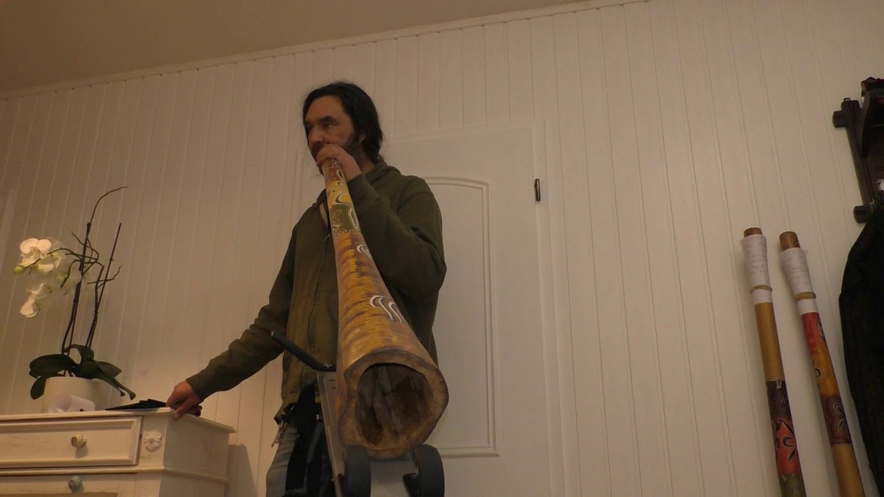 Eukalyptus Didgeridoo DEB3