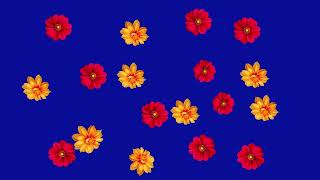 Flower Animation Green Screen HD Video | FLOWERS FLYING FREE ANIMATION IN BLUE SCREEN | No Copyright