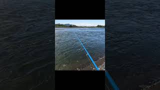 Оказывается надо было просто наточить#рыбалка#fishing#приключения