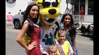 Opening of the Beaches Parade - 2014