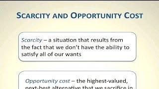 Information Introduction to Economics: Scarcity and Opportunity Cost | Episode 35 Update