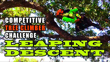 Leaping Descent Challenge: On-Target or On His Face? | Competitive Tree Climbing Techniques