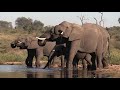 Memory Treasures KNP South Africa movie