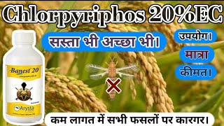 Chlorpyriphos 20% क बर म सपरण जनकर उपयग परयग क मतर कमत
