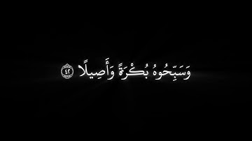 وكان الله بكل شيء عليما | ياسر الدوسري خلفية سوداء | كرومات قران كريم بصوت ياسر الدوسري