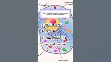 What is microfilaments in cell? #cellbiology #paramedical