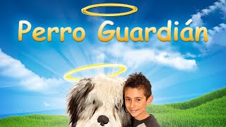 Perro Guardián | Pelicula Completa en Español | Divertida película familiar