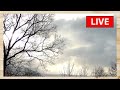 LIVE: Safe Haven Daytime Live Stream: Chilly Weather Forecast &amp; Relaxing Background