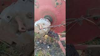 Massey Ferguson Hay Rakes