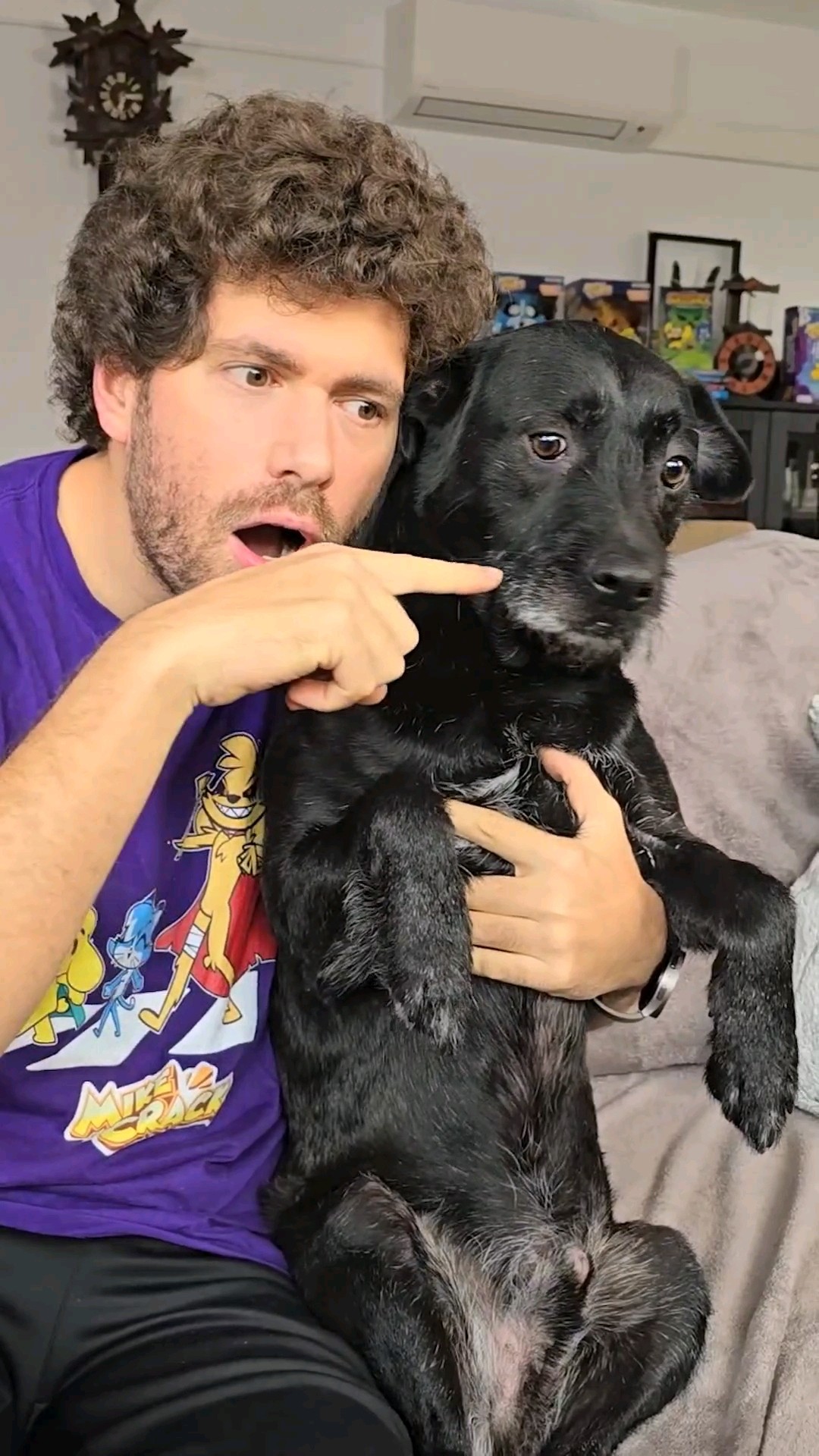 ⚠️ CUIDADO: PERRO PELIGROSO ?? #Mikecrack
