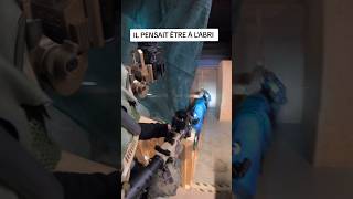 Frr j'ai 4 chargeurs sur moi 🤣 #airsoftshorts #fakegun #speedqb #airsoft #funny