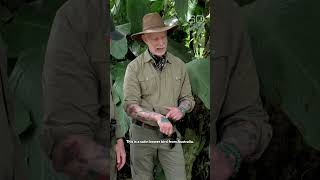 They’ve seen the majority of the world’s birds #shorts Profile