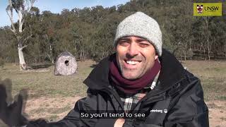 Animal Behaviour: Ep 4 Aggression and Play (English captions)