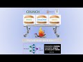 Tensor neural networks || Learning non-equilibrium dynamics || Seminar on: February 17, 2023