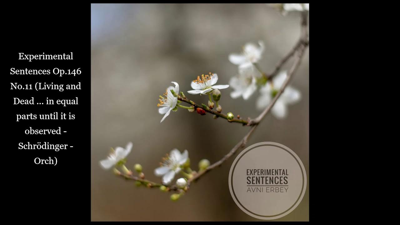 Independent variable depent variable and control variable. Эдриан броуди эксперимент. Мориц бляйбтрой эксперимент. Experimental research methods. Dependent and independent variables.