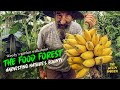 The food forest  harvesting natures bounty