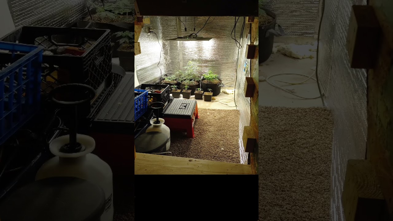 Hidden door to grow room 