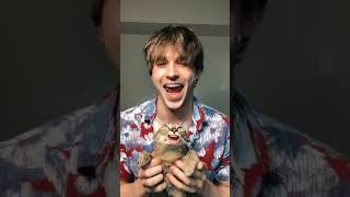 Trending🔥|| My CAT can Sing?! 🙀😂🎶